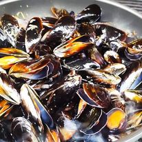 311571659_187423270470848_5829880910645784849_n