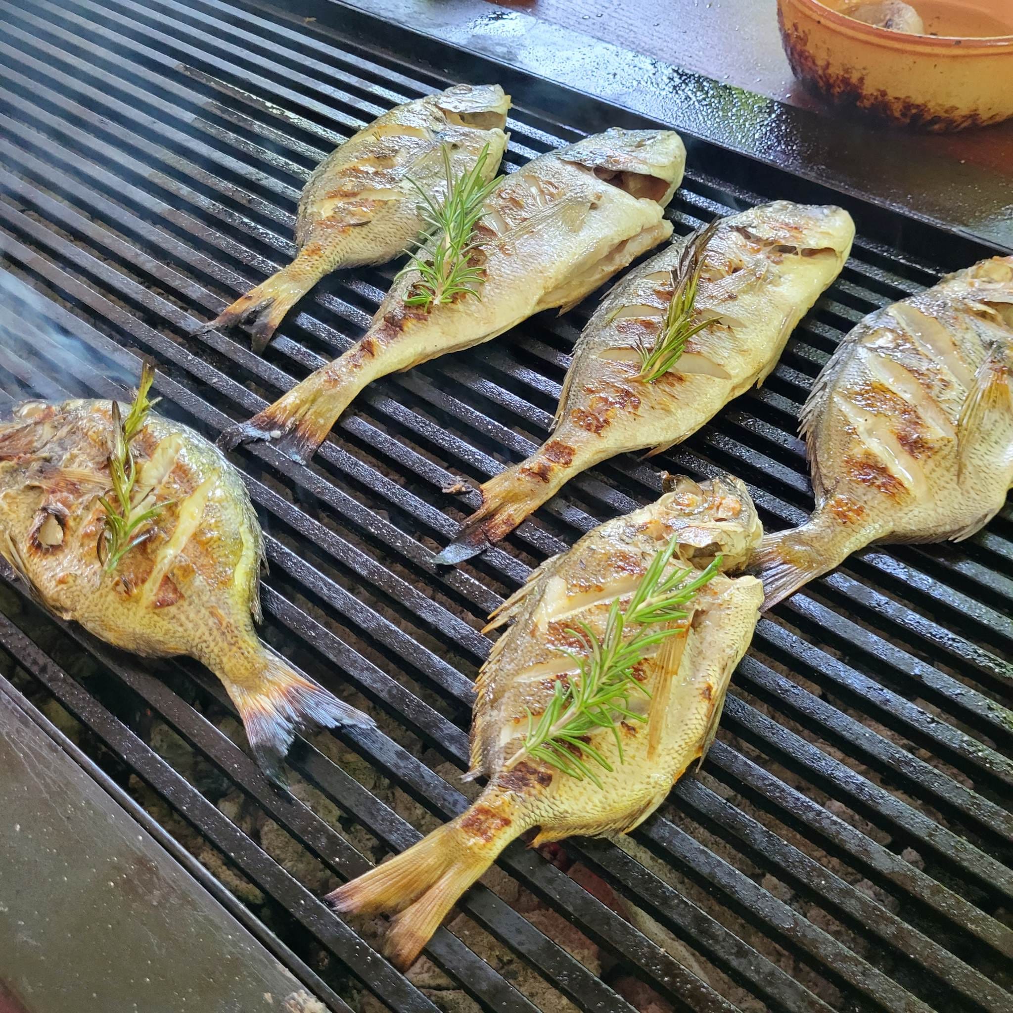 351521020_291759910037183_9198168163461640672_n