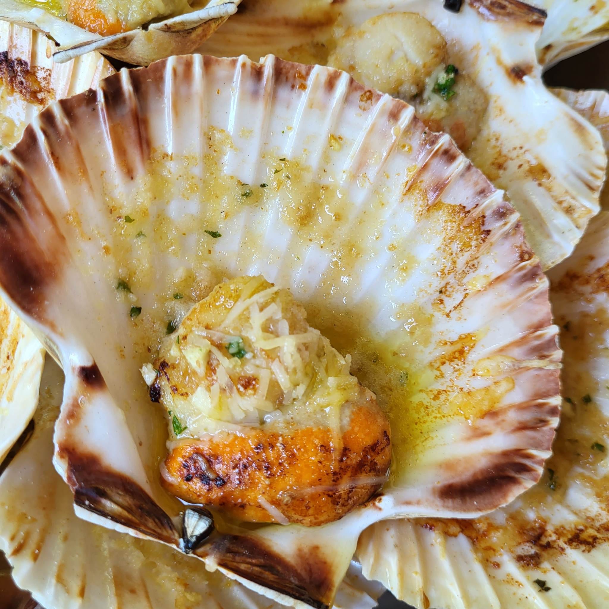 353464624_291759870037187_2215579800590591296_n